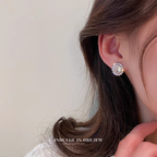 Sparkling Crystal premium Earrings