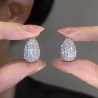 Platinum Glowing crystal Earrings